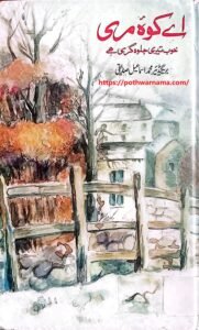 اے کوہ مری خوب تیری جلوہ گری ہے