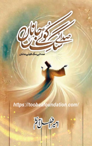 صدائے کوئے جاناں: شاعر امیر افضل آثم