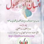 Insaan aur Bhool book cover, Maulana Muhammad Rooh Ullah Naqshbandi, Islamic book, Noor Muhammad Kutub Khana Karachiانسان اور بھول — مولانا محمد روح اللہ نقشبندی | نور محمد کتب خانہ کراچی