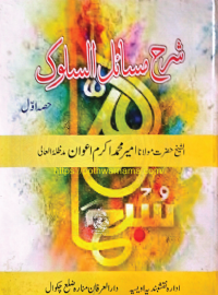 شرح مسائل السلوک